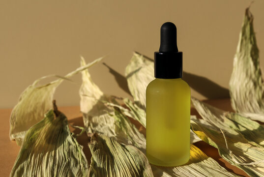 Cosmetic oil bottle, black cap pipette on green dry leaves. Monochrome mockup, banner, poster. Glass frosted vial of natural organic lotion, herbal essence, serum, emulsion. Frontal view, dark moody