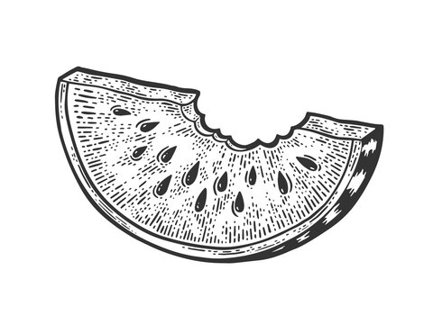 Bitten Watermelon Sketch Raster Illustration