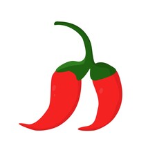 simple illustration on a white background red chilly pepper on a green branch