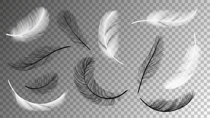 Flying feathers collection. Falling black white feathering isolated on transparent background. Birds plumage vector set. Flying fluffy black and white, quill plumage illustration © ONYXprj