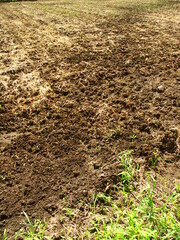 耕作された刈田と畦風景