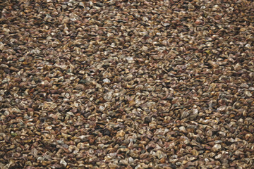 the texture of the ground