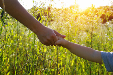 Hands of holding each other in field on sun