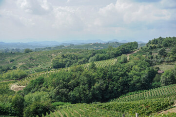 panorama sui vigneti e le colline di Gattinara (Valsesia, Vercelli)