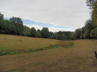 Landschaftspark und Hofgut Imsbach Lapointe im Saarland bei Theley