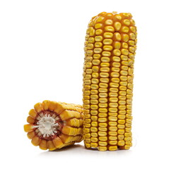 Ripe corn cob sliced in half isolated on white background