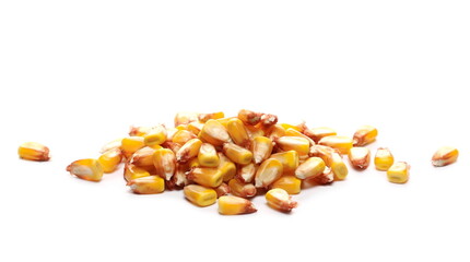 Corn kernels pile isolated on white background