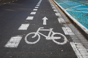Bike Lane. Image of a bicycle showing the direction of the cycle path. Road markings on the road...
