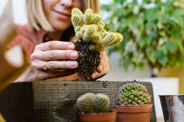 Woman holding cactus with soil near wooden flowerpot at home  © Dmytro Hai
