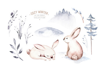 Watercolor winter forest animals deer with fawn, owl rabbits, bear birds on white background. Wild forest fox and squirrel animals set. Hand painted winter illustration