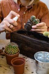 Cropped view of woman spraying roots of cactus while planting plants at home