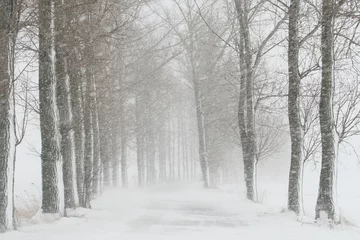 Foto auf Leinwand Country road during a snowstorm © Aniszewski
