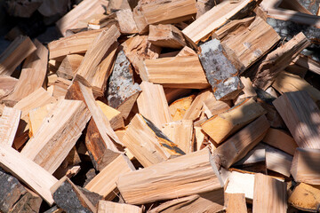 Fresh chopped wood for making heat in the winter