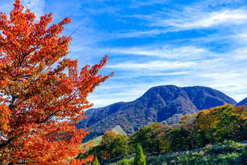 由布岳パーキングエリアからの紅葉（大分自動車道）
