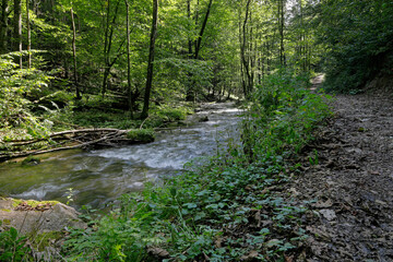 Der Trefflingbach in der Ötschergegend, ein erholsames Wandergebiet