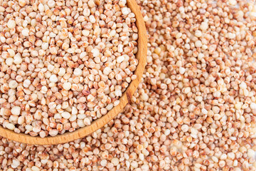 Full screen of grain, grain, sorghum, rice