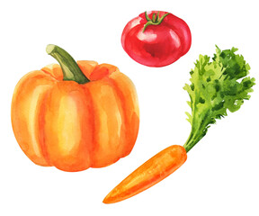 vegetables. watercolor greengrocery set. fresh vegetarian food illustration.