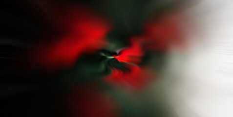 red and white flower