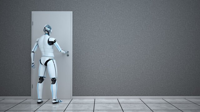 Humanoid Robot Door
