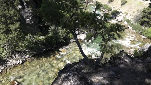 Bonsi type tree on cliff under a river confluence.