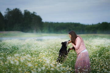 Girl and dog on a field of daisies. Relationship, friendship with a pet