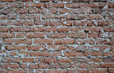 Naklejka premium old brick wall