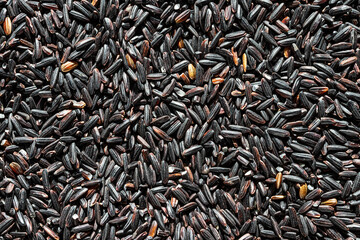 Black wild rice grains background or texture. Gluten-Free and healthy vegeterian food. Vegan nutrition. © Eugene_Photo