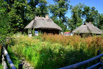 A view of two old village houses or huts with thatch roofs located next to a vast orchard and with a garden full of various herbs and vegetables seen in the foreground spotted in Poland in summer