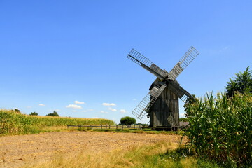 Plakat View of a massive wooden historic windmill with its body and blades made out of planks, logs, and boards standing in the middle of a field ready to be harvested seen on a cloudy summer day in Poland