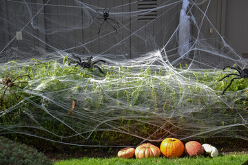 Pumpkins and spider nets decorating a halloween front yard
