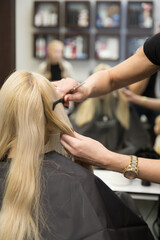 Fototapeta premium The hairdresser cuts the hair of a blonde woman.