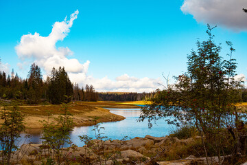 summery Odertal in the Harz Mountains