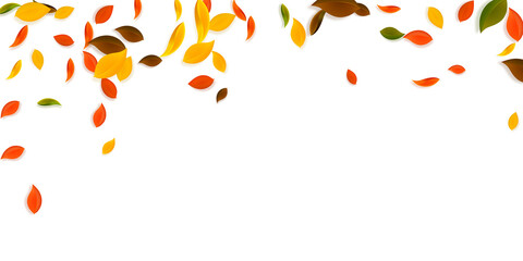 Falling autumn leaves. Red, yellow, green, brown c