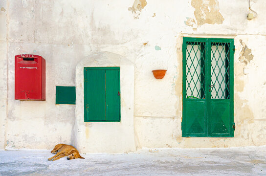 Island of Ponza, Italy. August 16th, 2017. A dog takes a nap on a hot summer afternoon.