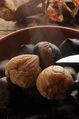 Ballotte ft9112_2195 Boiled chestnut