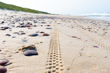 Bike or motorbike tire track or trace in the sand on the shore with Baltic Sea and dunes on background