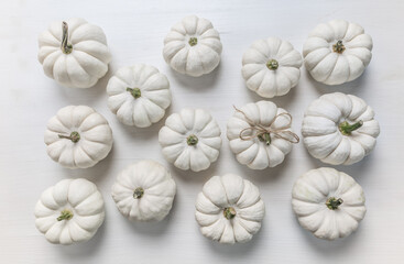 Small white pumpkins for Thanksgiving on white wooden background