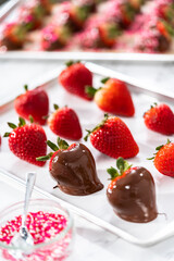 Chocolate dipped strawberries