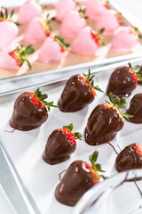 Chocolate dipped strawberries