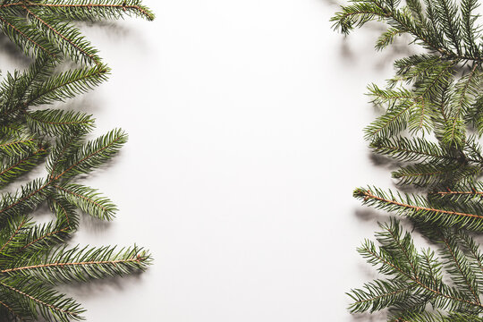 Christmas tree branches border over white background.