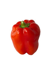 
red pepper on white background