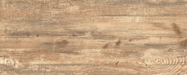 texture of wood. wood texture background