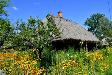View of a small wooden hut or shack with an angled thatch roof located behind a beautifully...