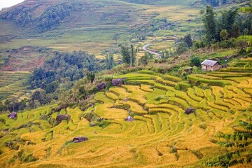 Fototapeta na wymiar Rice terraces of Sapa, Vietnam