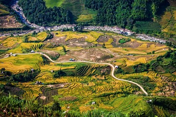 Rice terraces of Sapa, Vietnam