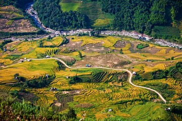 Rice terraces of Sapa, Vietnam