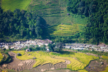 Rice terraces of Sapa, Vietnam