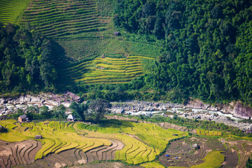 Rice terraces of Sapa, Vietnam