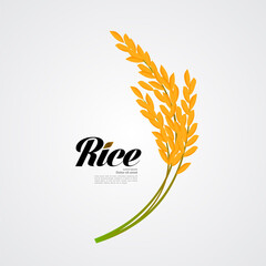 Premium Rice great quality design concept  vector.