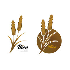 Premium Rice great quality design concept  vector.